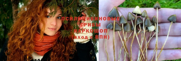 таблы Каменка