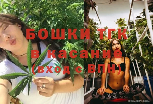 круглые Каменногорск