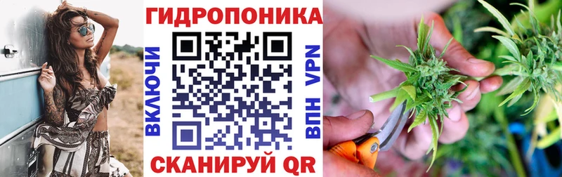 Купить закладки  Зарайск  Бошки марихуана Amnesia 